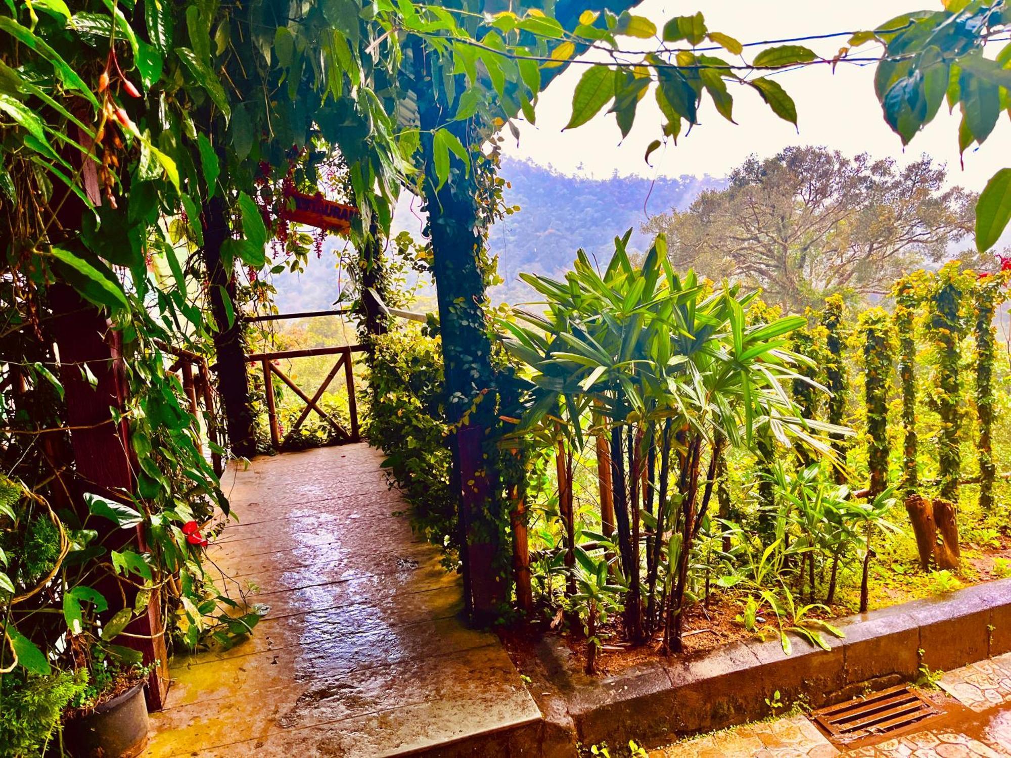 Munnar Tea Estate Cottage And Resort - Away From City Hustle Exterior foto